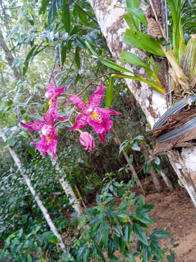 Casa De Campo Banheira, Lareira E Cachoeira Pedra Azul  Exteriér fotografie